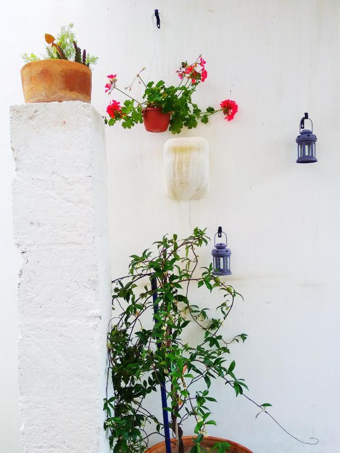 Masseria Delle Rose 1760 Alessano Zewnętrze zdjęcie